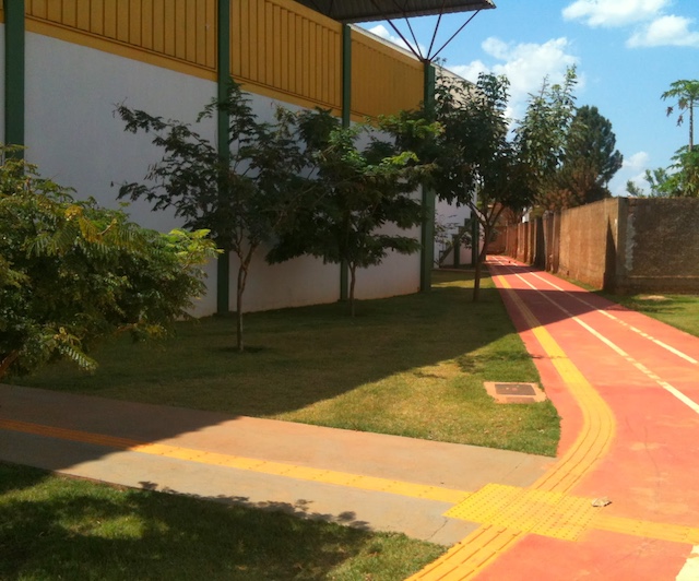 A área de vegetação ocupa 24% da área do terreno e só possuem árvores nativas do cerrado, acostumadas com o regime de chuva da região.